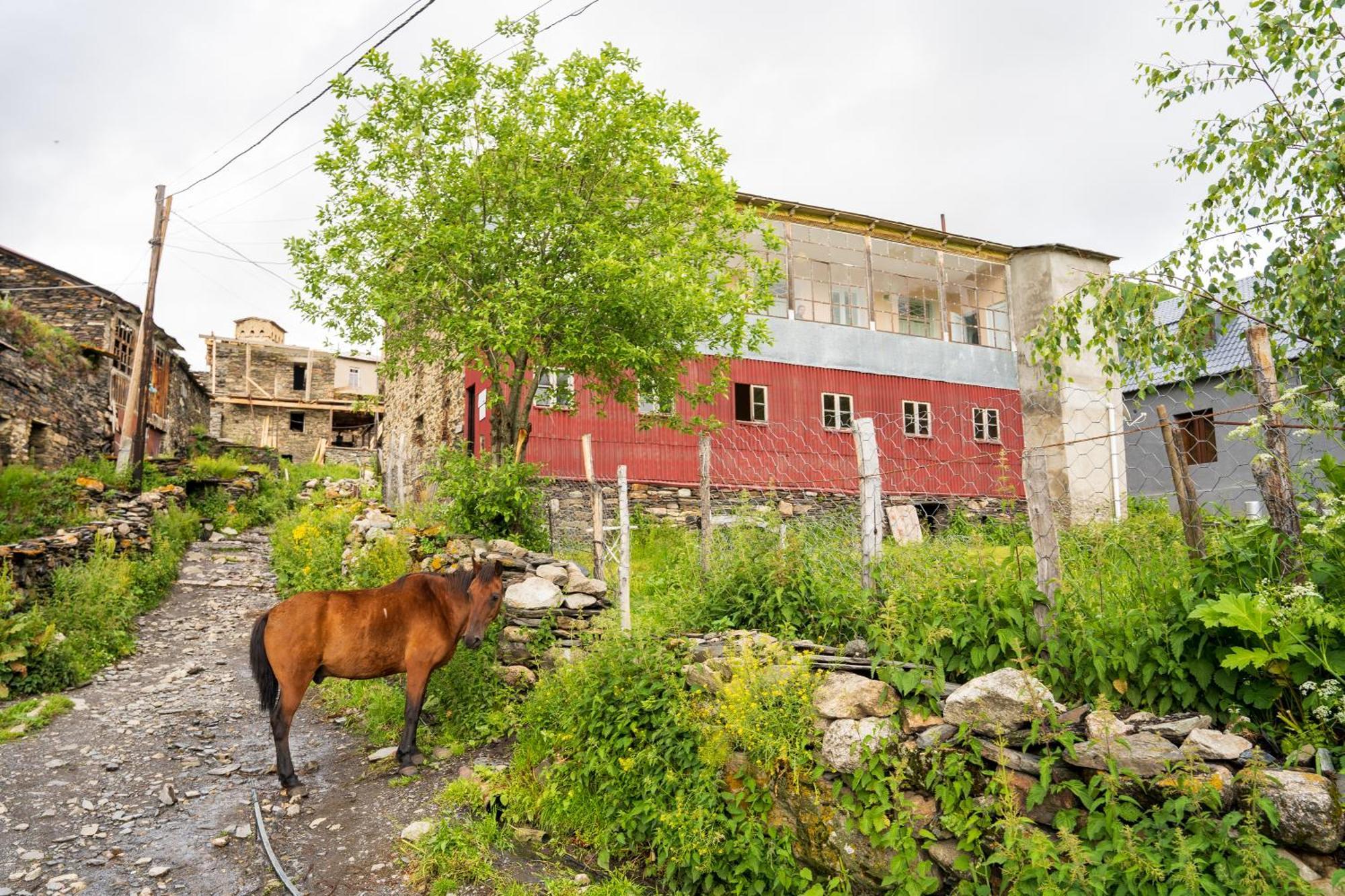 Guesthouse Svani Ushguli Εξωτερικό φωτογραφία